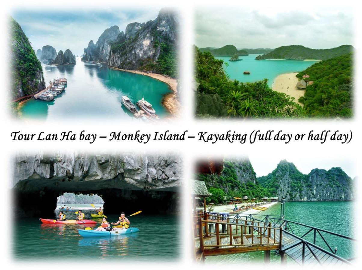 Domik Homestay - Cát Bà Dong Khe Sau Dış mekan fotoğraf